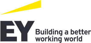 EY Core Business Services BV.png